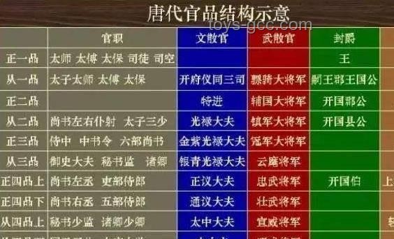 不同级别官员对比：探寻“你们见过的最大的官”级别差异
